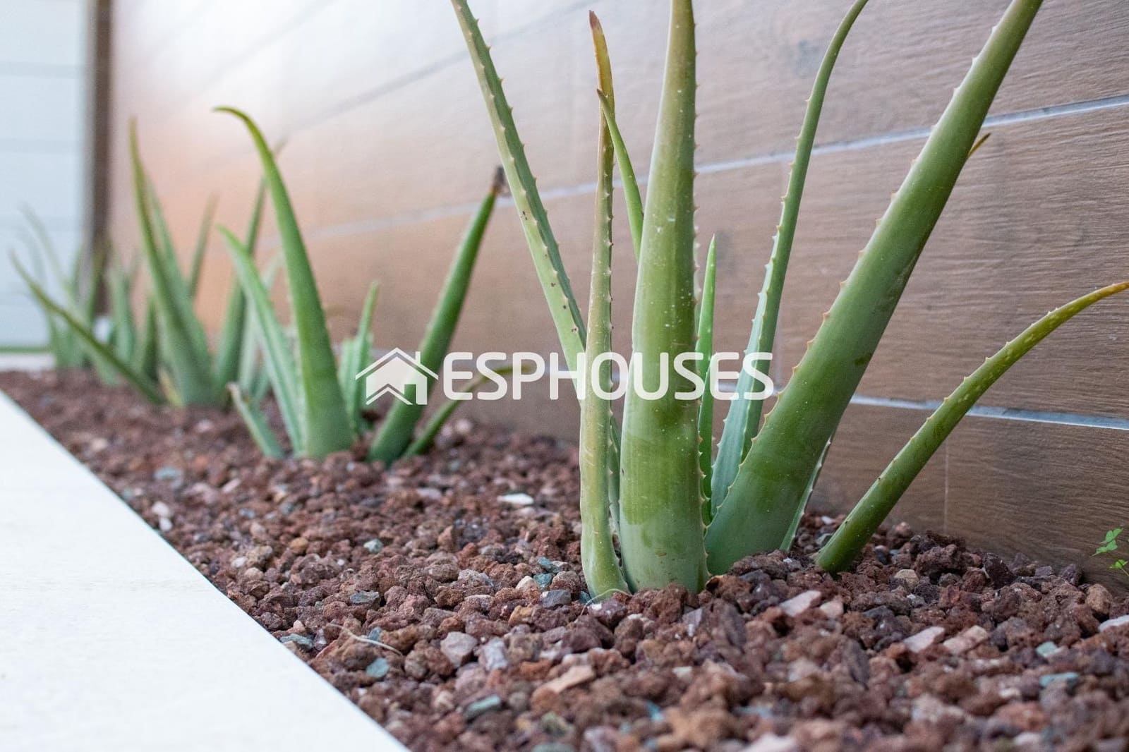 3 quarto Moradia para venda em Los Montesinos com piscina garagem - 509 000 € (Ref: 9445121)