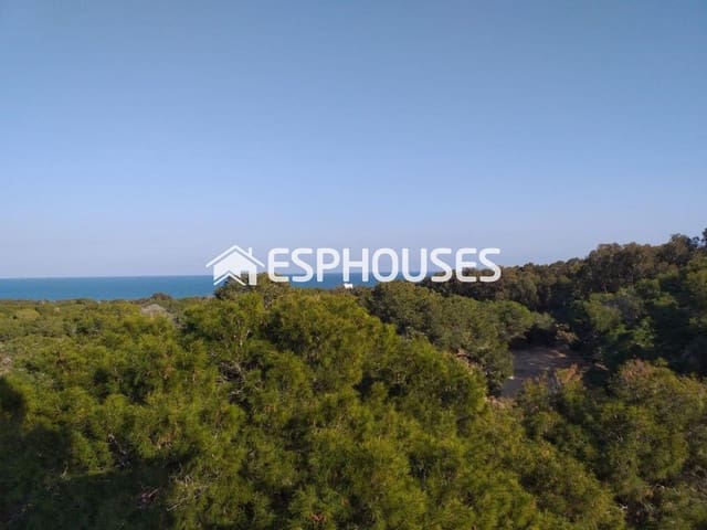 3 soverom Leilighet til salgs i Zona Pueblo, Guardamar del Segura med svømmebasseng - € 450 000 (Ref: 9445135)