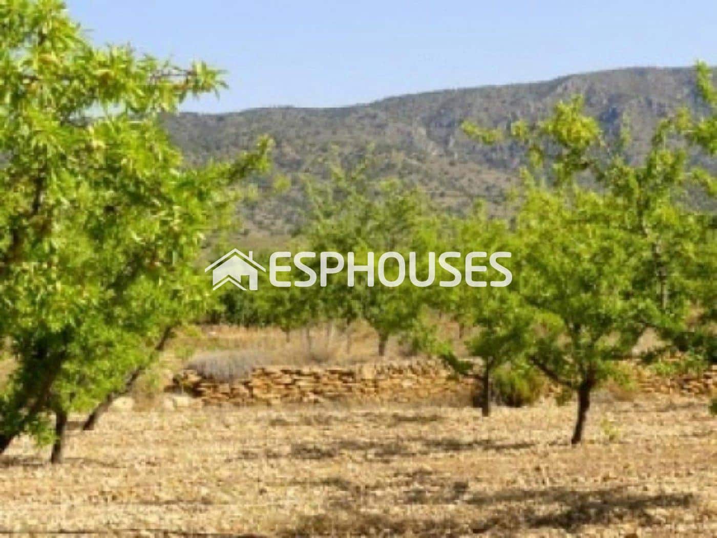 3 sovrum Villa till salu i Pinoso med pool garage - 425 000 € (Ref: 9445265)