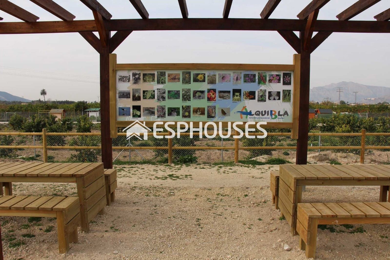 2 bedroom Penthouse for sale in Bigastro with pool garage - € 199,900 (Ref: 9462548)