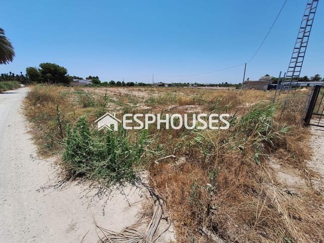 Bauplatz zu verkaufen in La Foia - Daimés - Asprella, Elche / Elx - 35.000 € (Ref: 9735852)