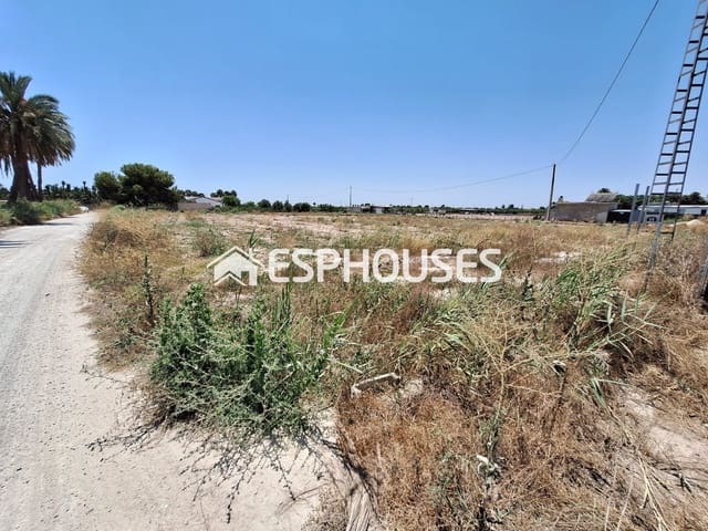 Area Edificabile in vendita in La Foia - Daimés - Asprella, Elche / Elx - 35.000 € (Rif: 9735852)