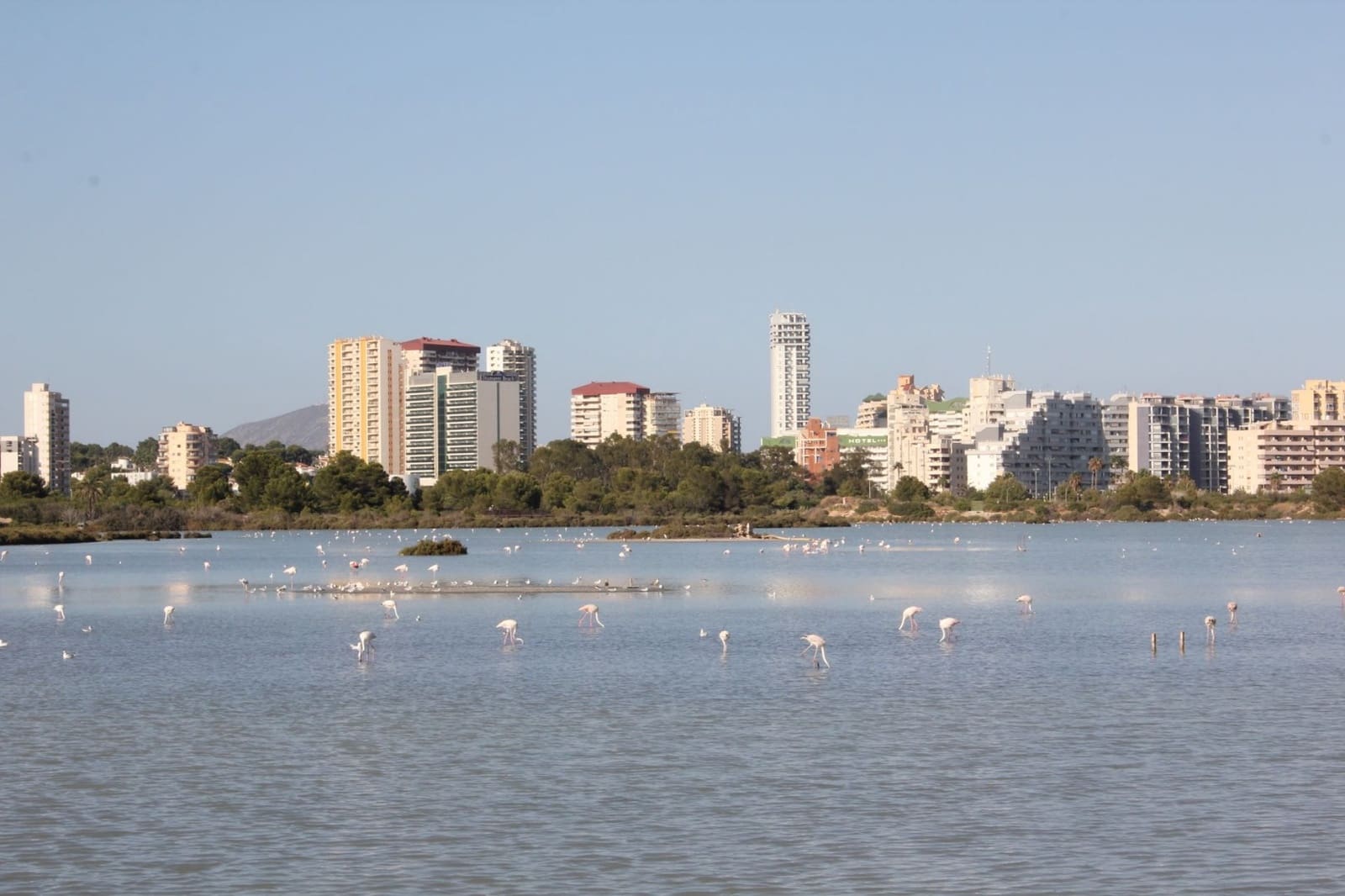 3 bedroom Villa for sale in Calpe / Calp with pool garage - € 975,000 (Ref: 9773386)