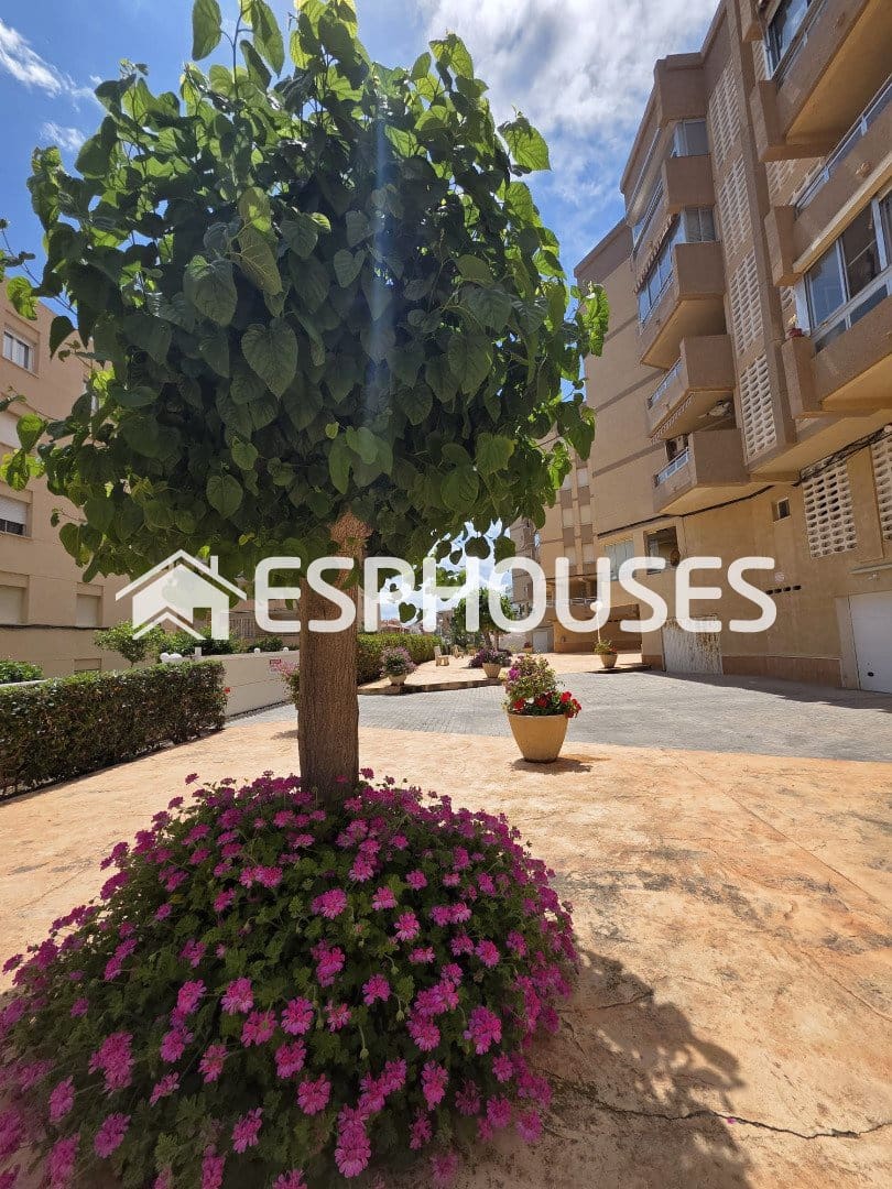 2 soveværelse Lejlighed til salg i Guardamar del Segura - € 195.000 (Ref: 9955327)