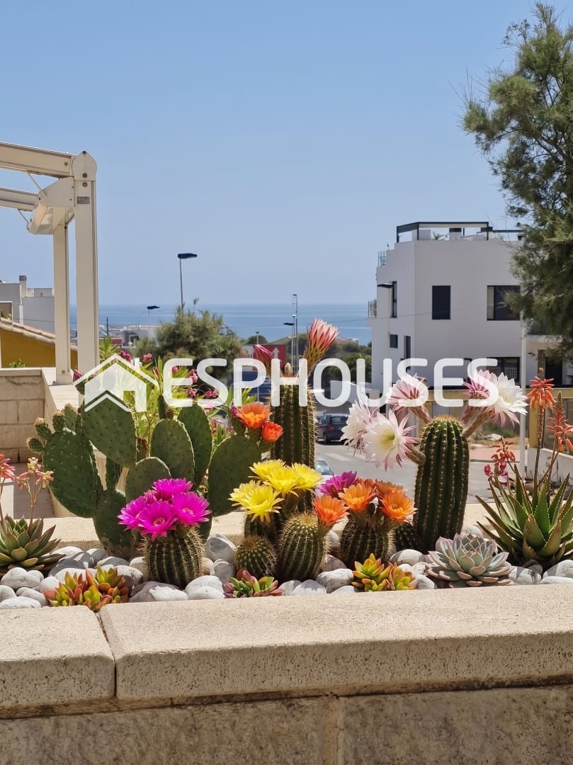 2 slaapkamer Appartement te koop in Guardamar del Segura met zwembad garage - € 280.000 (Ref: 9960009)