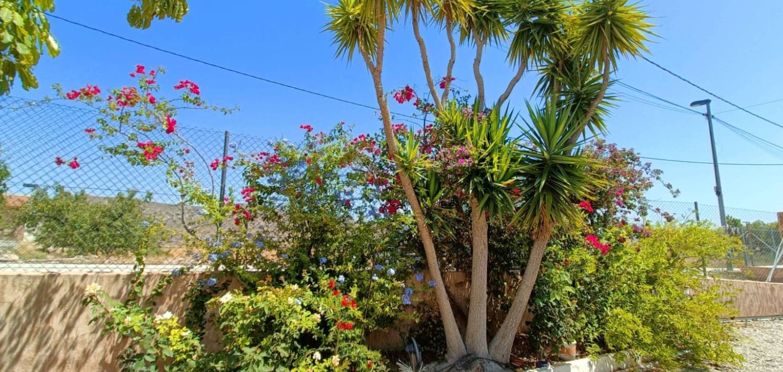 5 bedroom Villa for sale in Abanilla with pool - € 360,000 (Ref: 10000560)