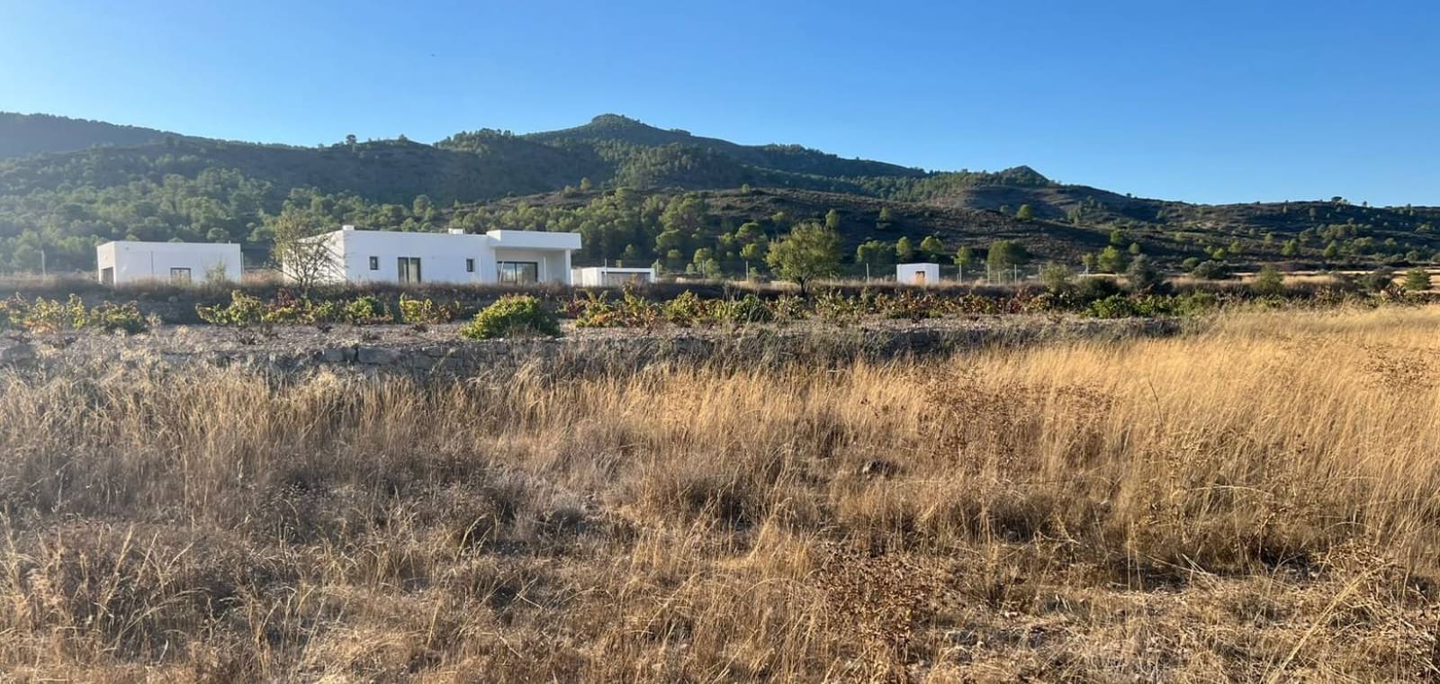 Tomt till salu i Hondon de las Nieves - 59 950 € (Ref: 10102837)