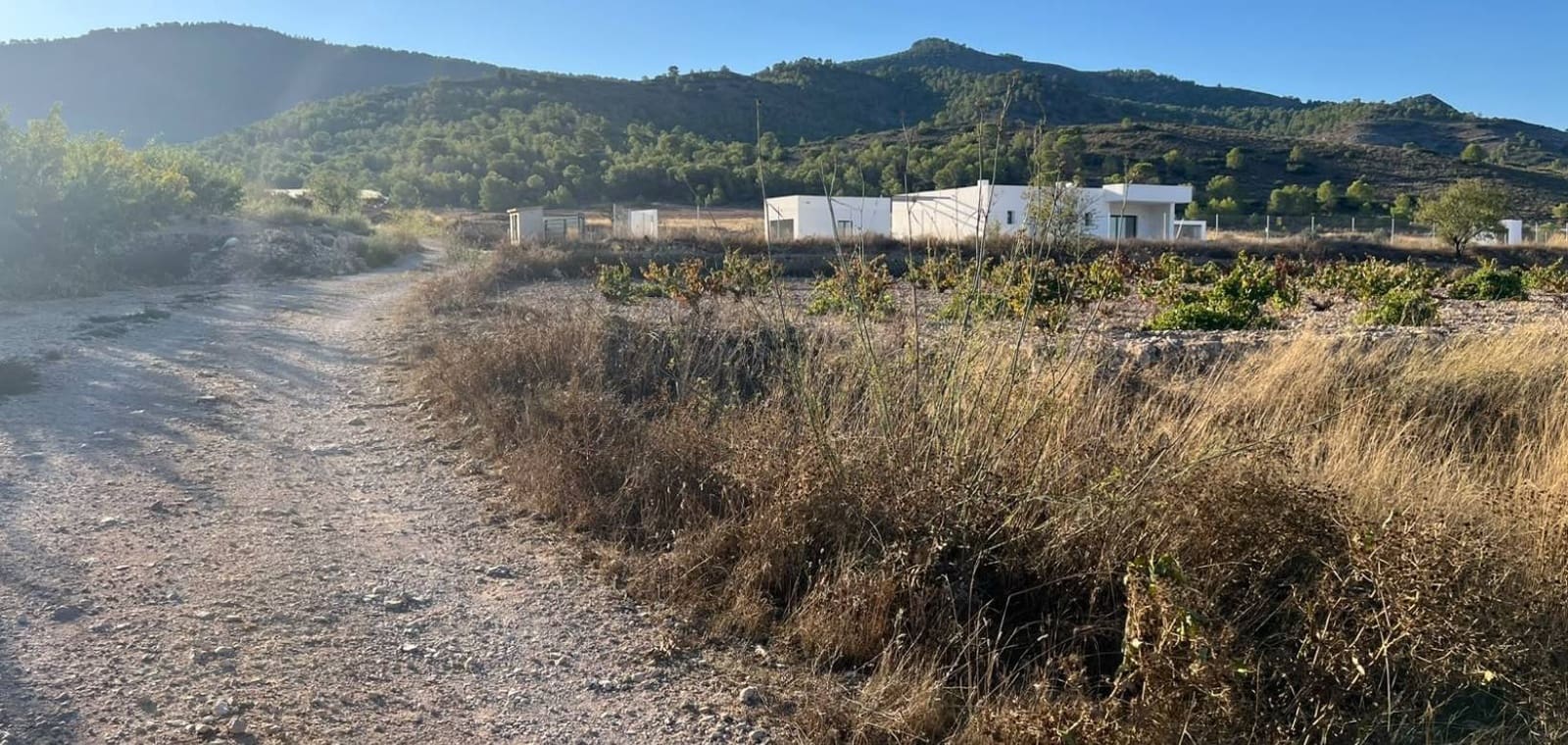 Tomt till salu i Hondon de las Nieves - 59 950 € (Ref: 10102837)