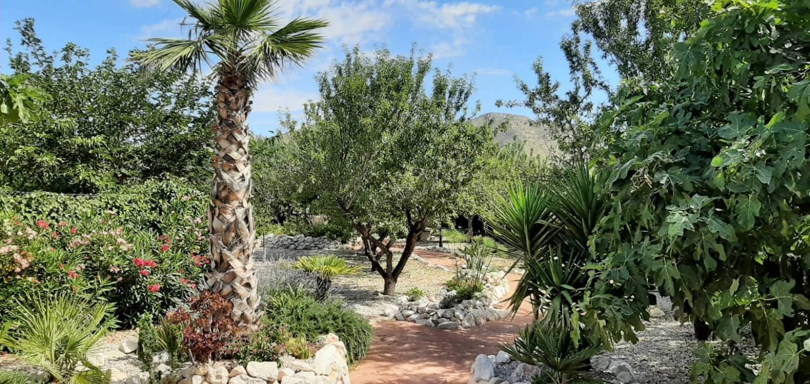 6 soveværelse Villa til salg i Barbarroja med swimmingpool - € 798.000 (Ref: 10134835)