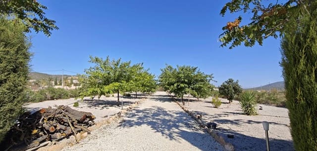 4 sypialnia Willa na sprzedaż w Pinoso z basenem garażem - 499 995 € (Ref: 10136696)