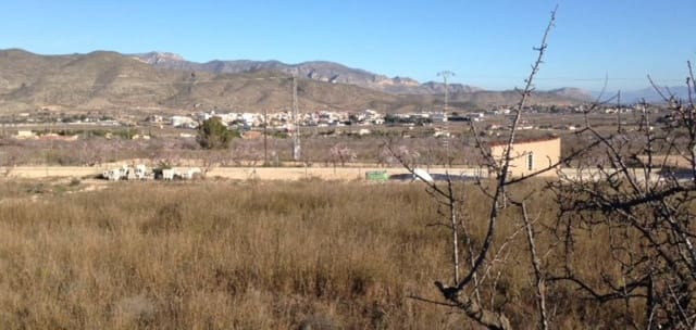 Building Plot for sale in Hondón de los Frailes - € 25,000 (Ref: 5990543)