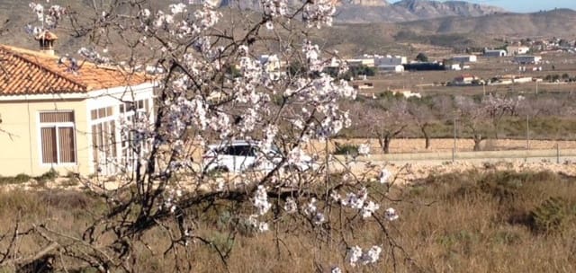 Building Plot for sale in Hondón de los Frailes - € 25,000 (Ref: 5990543)