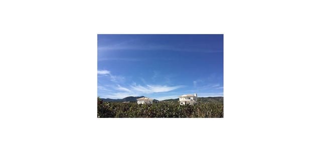 3 slaapkamer Villa te koop in Pinoso met zwembad garage - € 375.000 (Ref: 7940986)