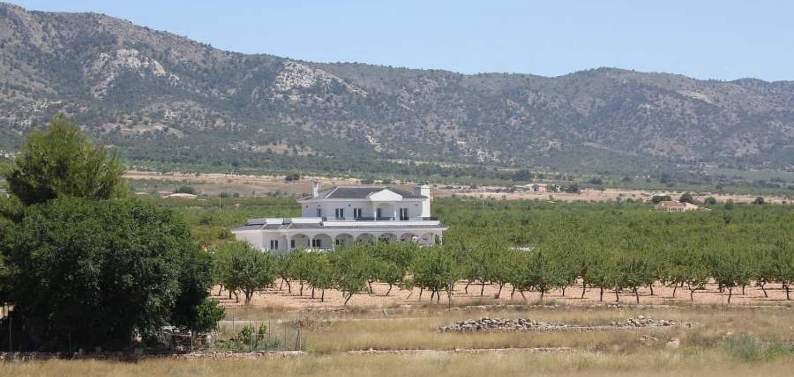 5 slaapkamer Villa te koop in Pinoso met zwembad garage - € 547.000 (Ref: 7940992)