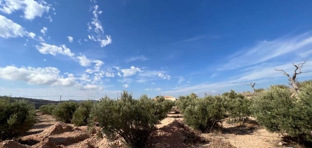 3 slaapkamer Villa te koop in Macisvenda, Abanilla met garage - € 300.000 (Ref: 8665818)