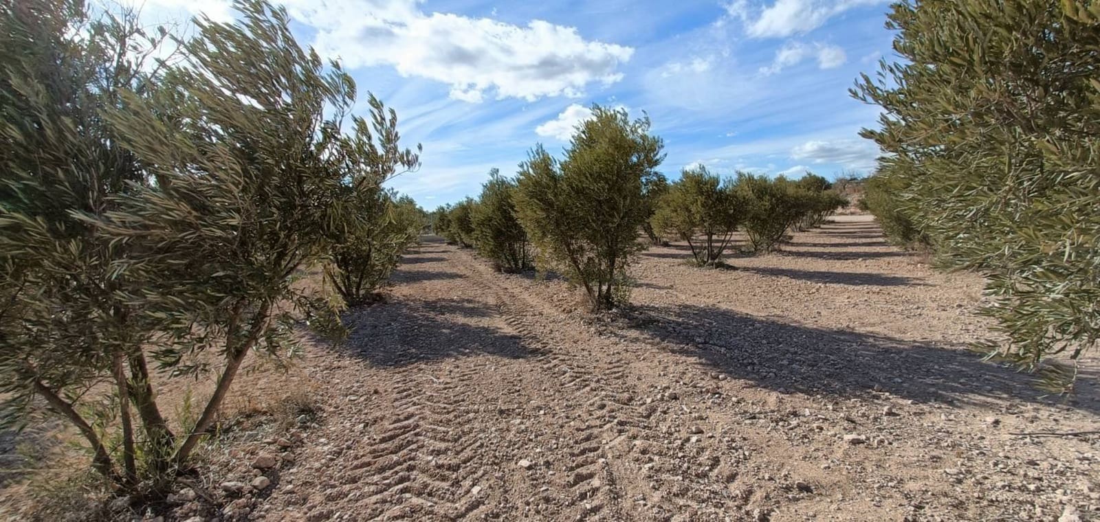 3 soveværelse Villa til salg i Macisvenda med garage - € 300.000 (Ref: 8665818)