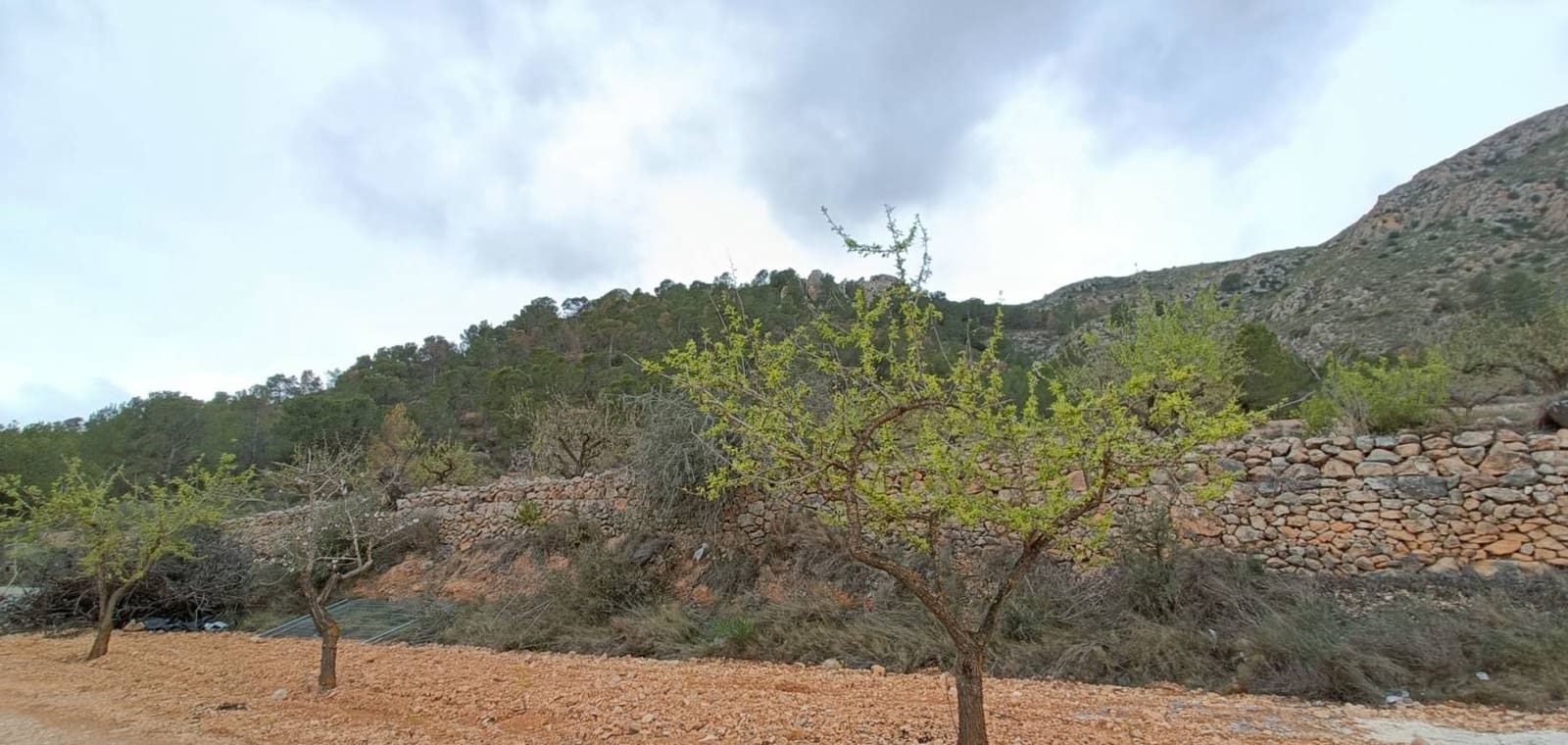 4 camera da letto Villa in vendita in La Romana con piscina - 450.000 € (Rif: 8873472)