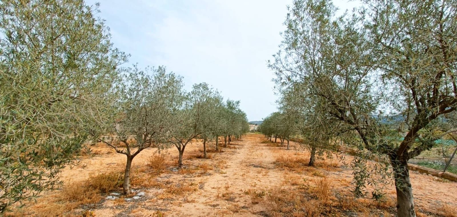 4 sypialnia Willa na sprzedaż w Hondon de los Frailes - 180 000 € (Ref: 8971139)