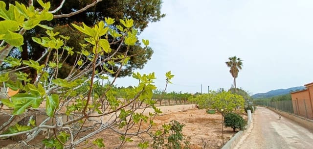 4 sypialnia Willa na sprzedaż w Hondón de los Frailes - 180 000 € (Ref: 8971139)