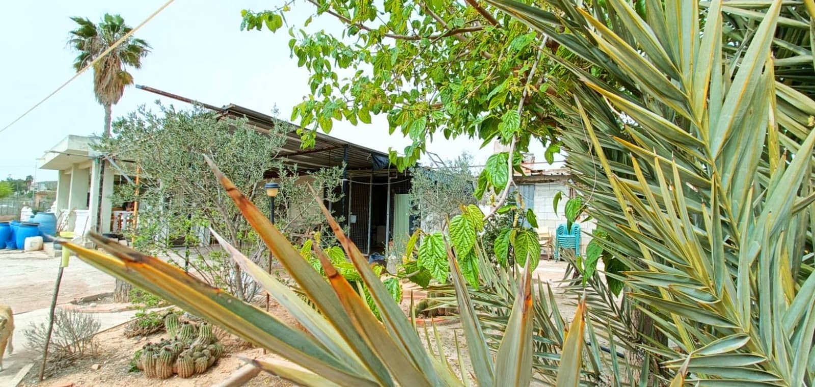 4 sypialnia Willa na sprzedaż w Hondon de los Frailes - 180 000 € (Ref: 8971139)