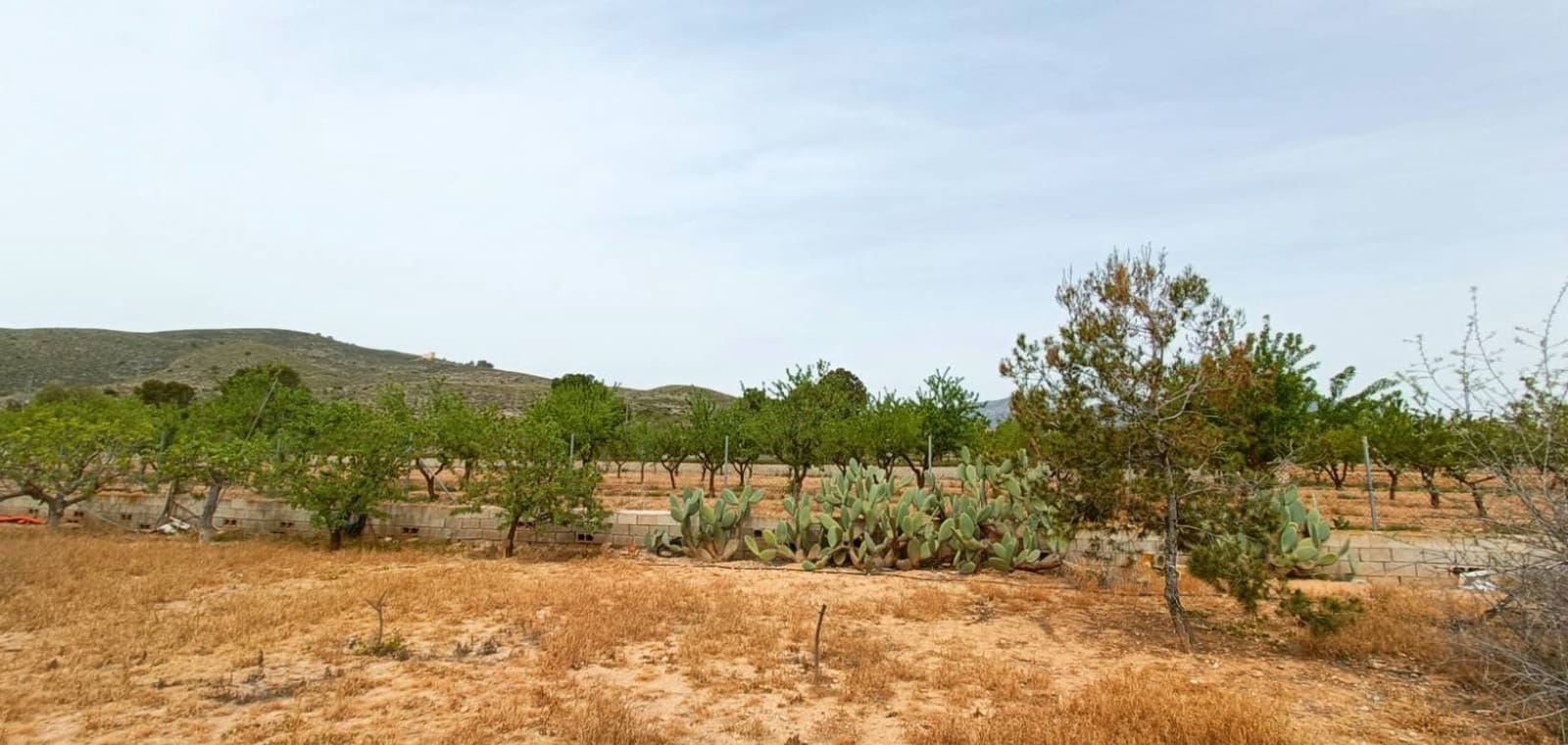 4 sypialnia Willa na sprzedaż w Hondon de los Frailes - 180 000 € (Ref: 8971139)