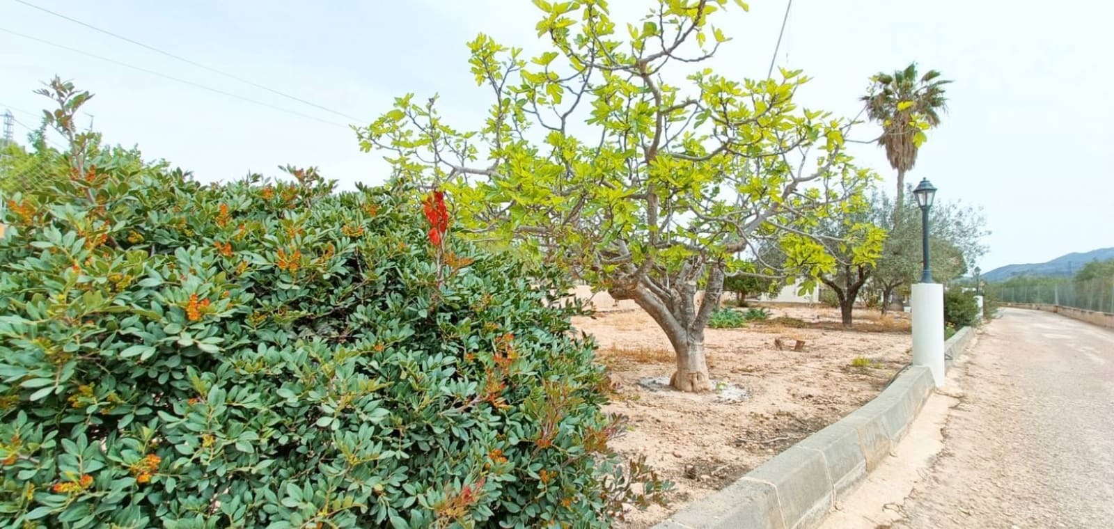 4 sypialnia Willa na sprzedaż w Hondon de los Frailes - 180 000 € (Ref: 8971139)