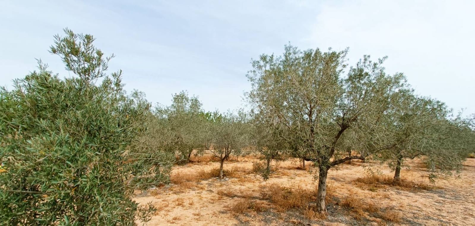 4 sypialnia Willa na sprzedaż w Hondon de los Frailes - 180 000 € (Ref: 8971139)