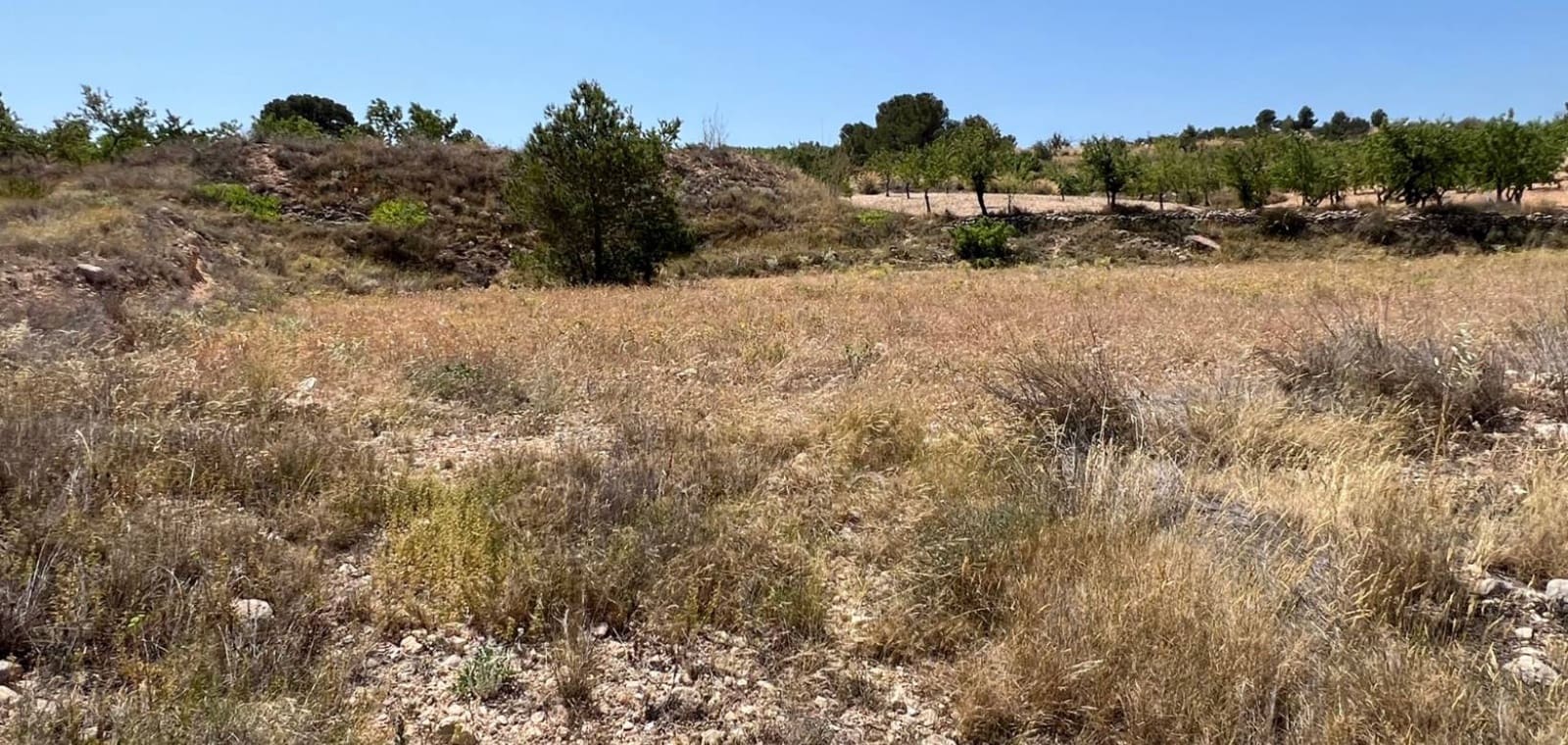 Tomt till salu i Barbarroja - 50 000 € (Ref: 9050051)