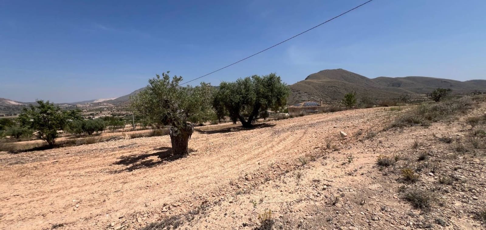 Tomt till salu i Barbarroja - 50 000 € (Ref: 9050051)