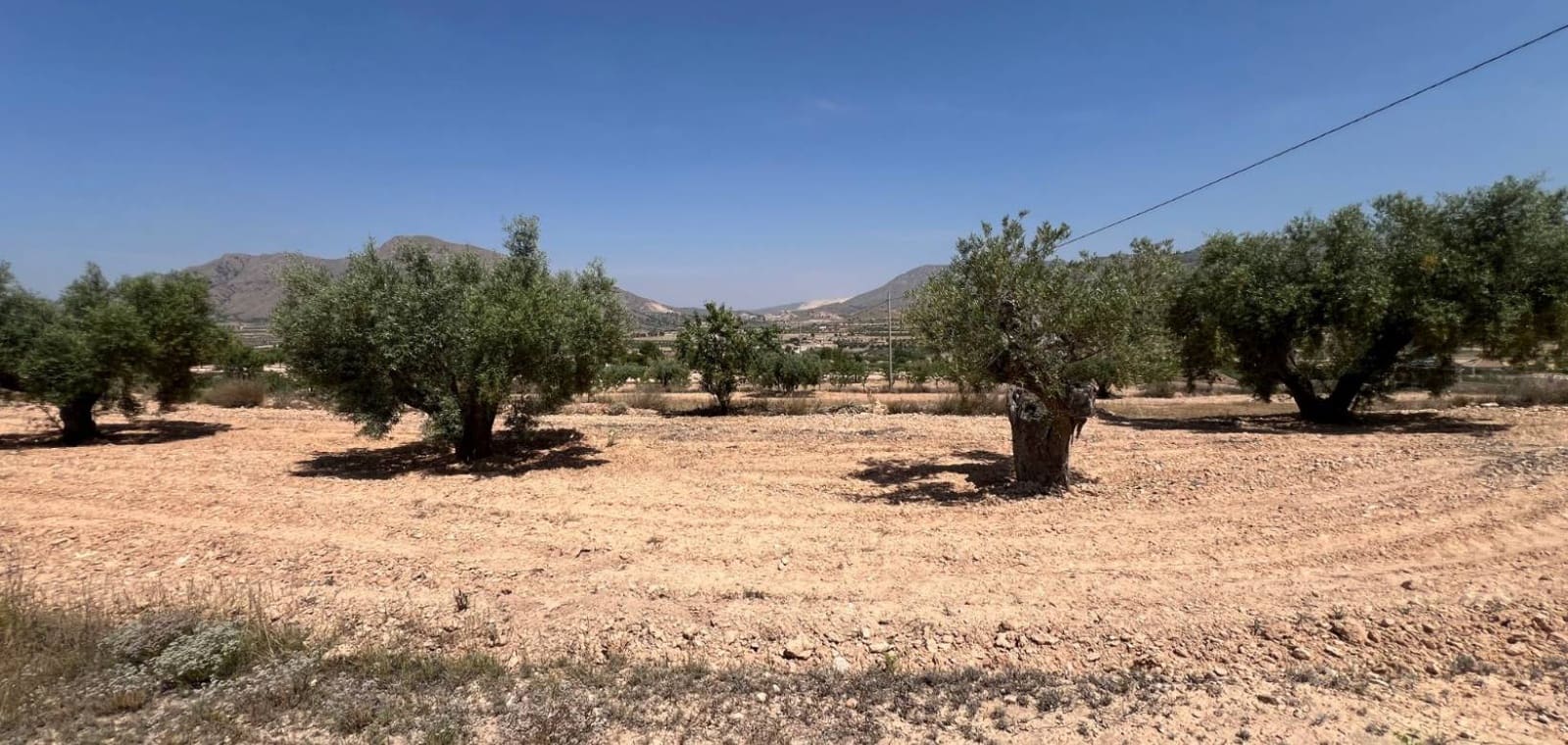 Tomt till salu i Barbarroja - 50 000 € (Ref: 9050051)