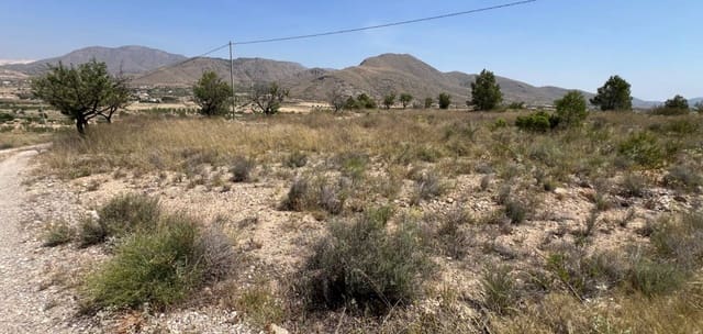 Bouwgrond te koop in Barbarroja, Orihuela - € 50.000 (Ref: 9050051)