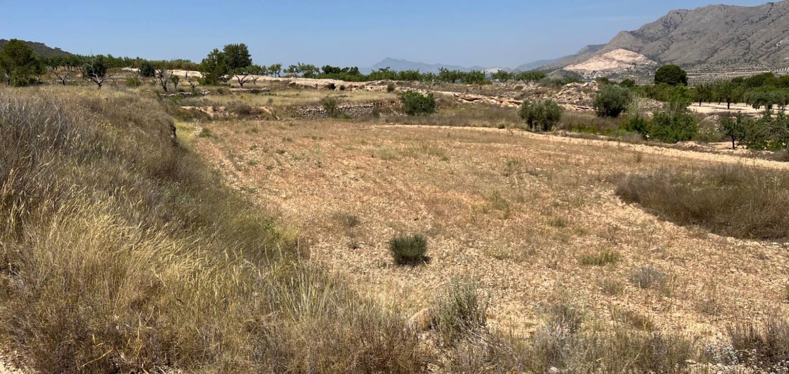 Tomt till salu i Barbarroja - 50 000 € (Ref: 9050051)