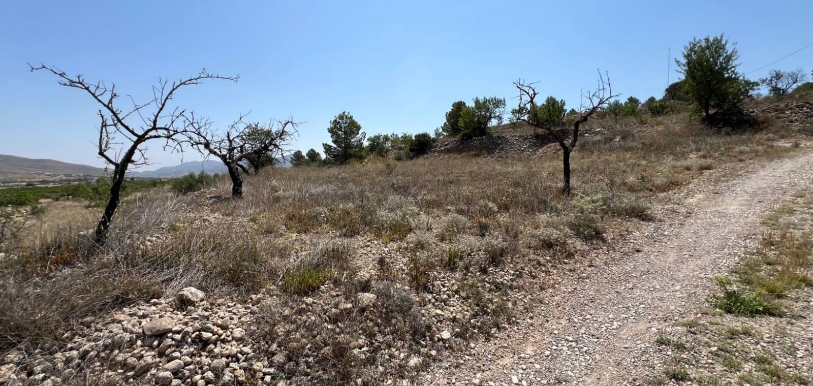 Tomt till salu i Barbarroja - 50 000 € (Ref: 9050051)