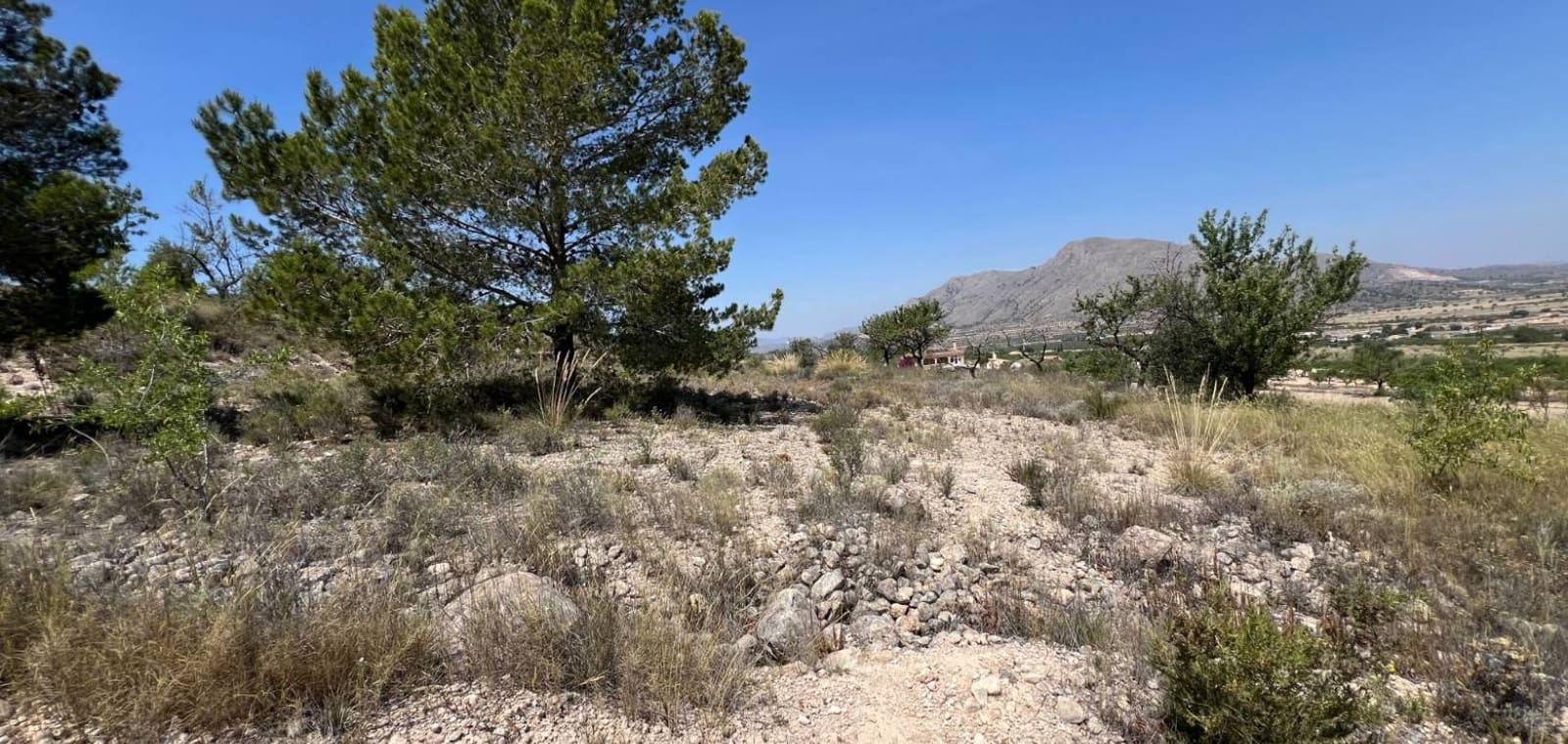 Tomt till salu i Barbarroja - 50 000 € (Ref: 9050051)