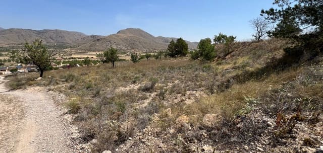 Bouwgrond te koop in Barbarroja, Orihuela - € 50.000 (Ref: 9050051)