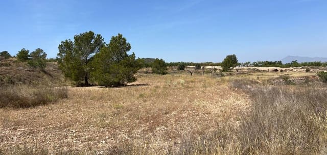 Tontti myytävänä paikassa Barbarroja, Orihuela - 65 000 € (Ref: 9050052)