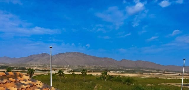 3 slaapkamer Villa te koop in Hondón de las Nieves met zwembad - € 260.000 (Ref: 9292314)