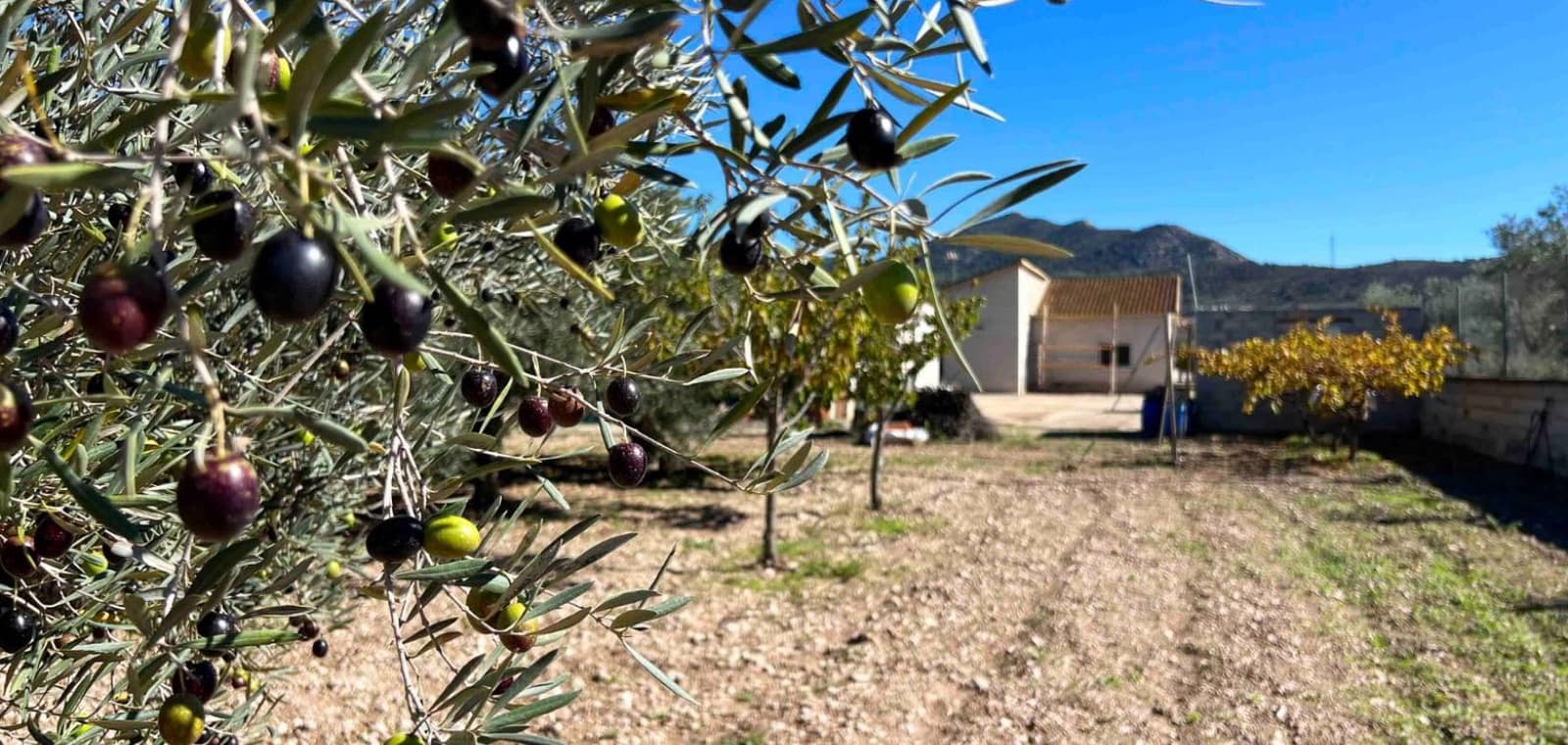 3 sovrum Villa till salu i Hondon de los Frailes med garage - 170 000 € (Ref: 9353822)