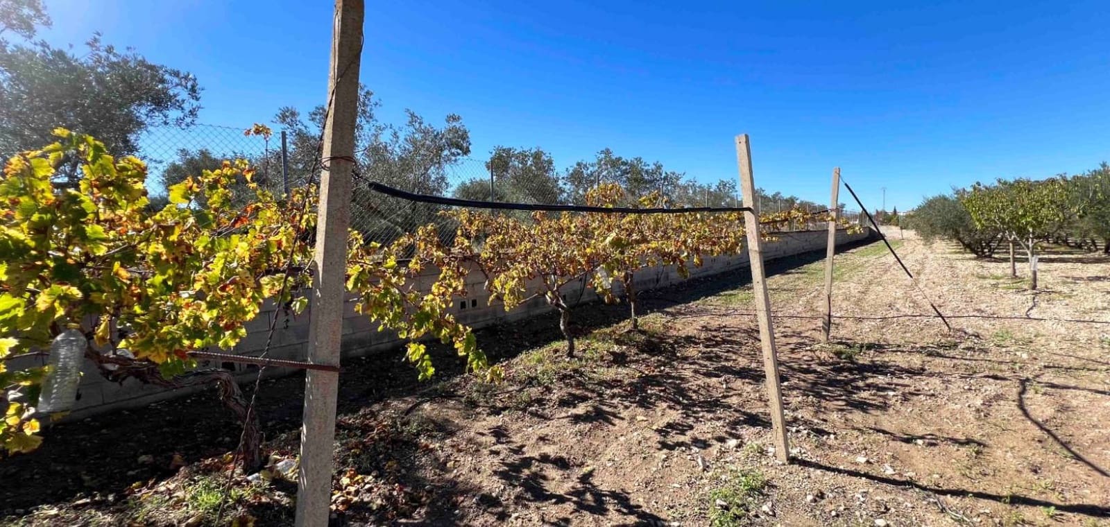 3 sovrum Villa till salu i Hondon de los Frailes med garage - 170 000 € (Ref: 9353822)