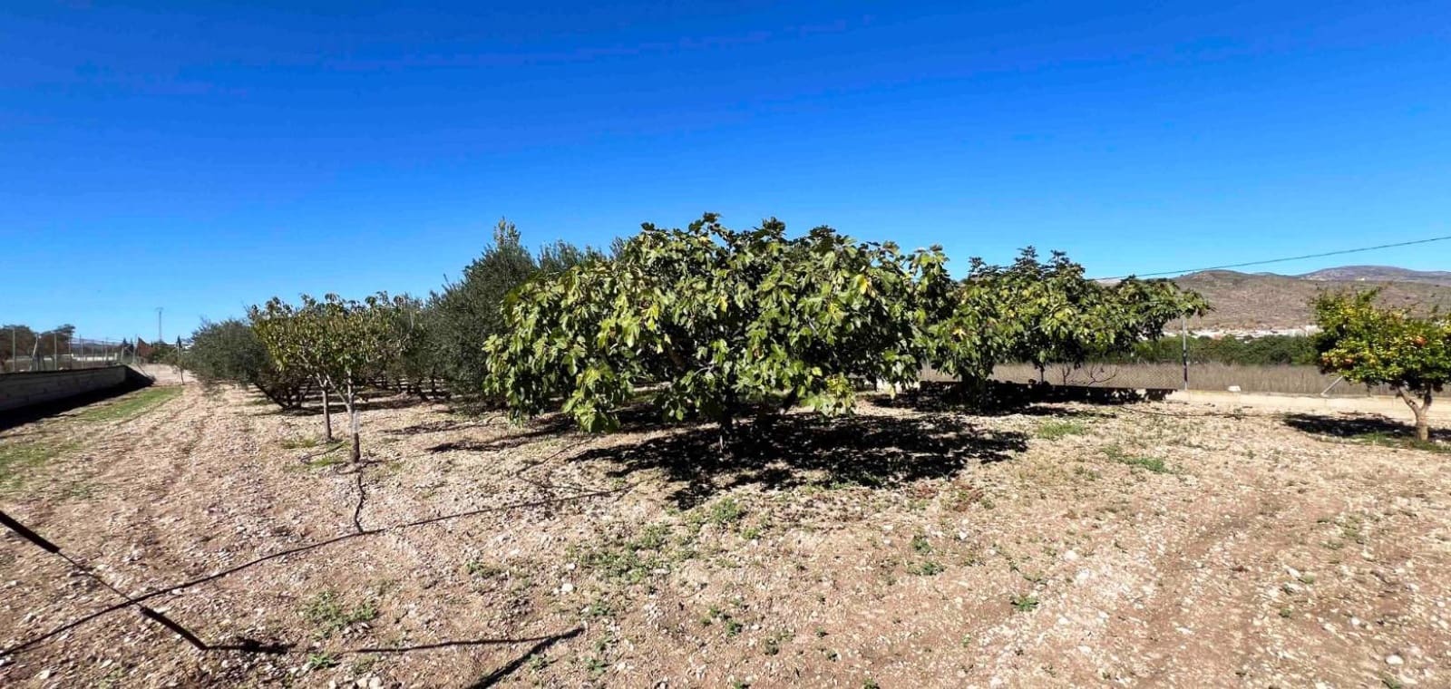 3 sovrum Villa till salu i Hondon de los Frailes med garage - 170 000 € (Ref: 9353822)