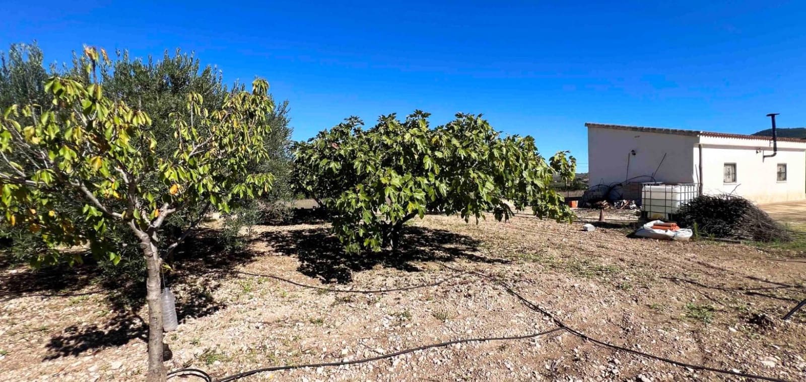 3 sovrum Villa till salu i Hondon de los Frailes med garage - 170 000 € (Ref: 9353822)