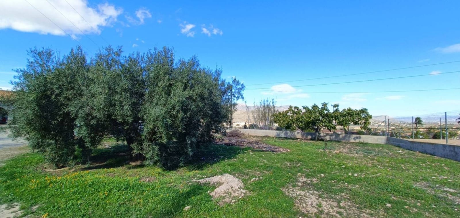 4 sypialnia Willa na sprzedaż w Hondon de los Frailes - 245 000 € (Ref: 9386299)