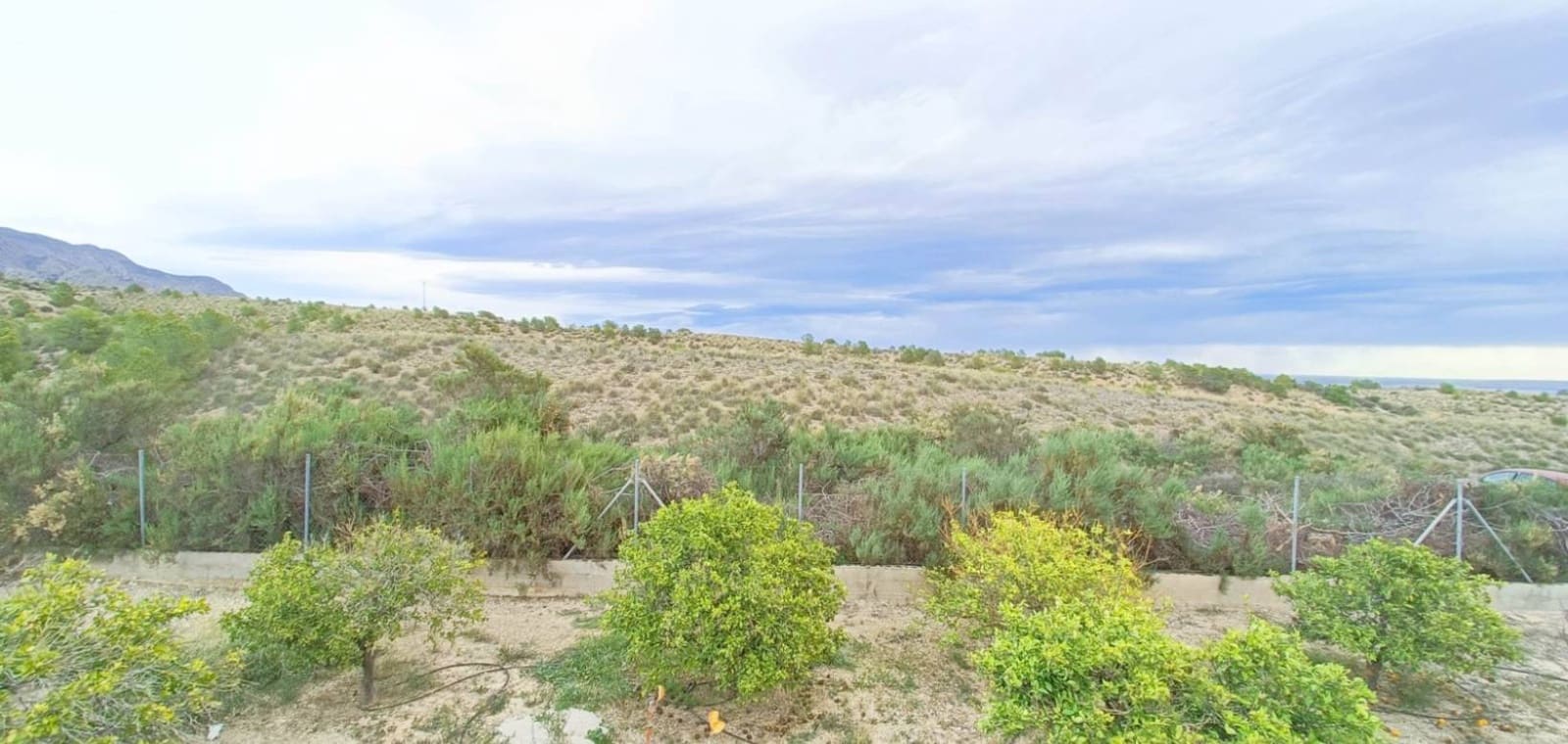 3 soverom Villa til salgs i Albatera med svømmebasseng garasje - € 259 950 (Ref: 9447428)