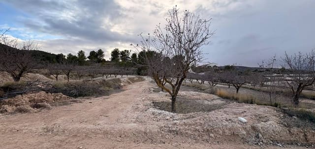 Chalet de 3 habitaciones en Encebras, Pinoso en venta con piscina - 399.995 € (Ref: 9609929)