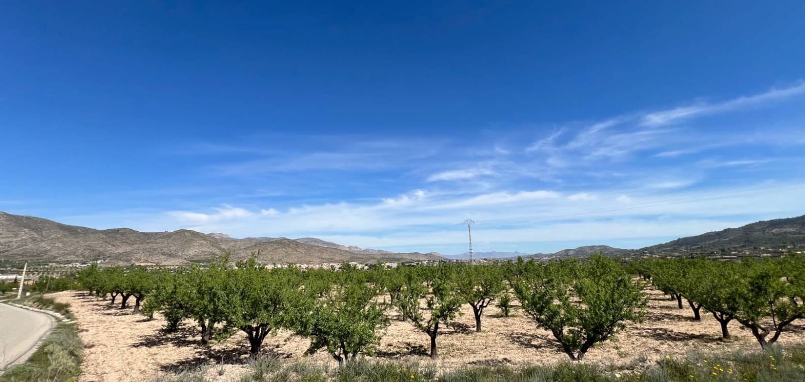 Byggegrund til salg i Hondon de los Frailes - € 46.000 (Ref: 9694048)