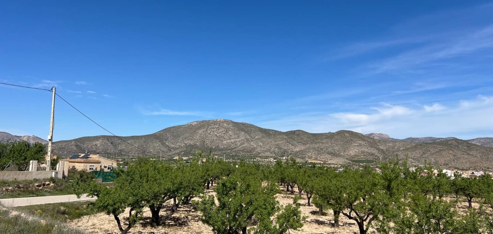 Byggegrund til salg i Hondon de los Frailes - € 46.000 (Ref: 9694048)