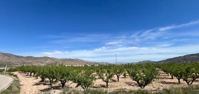 Byggegrund til salg i Hondón de los Frailes - € 46.000 (Ref: 9694048)