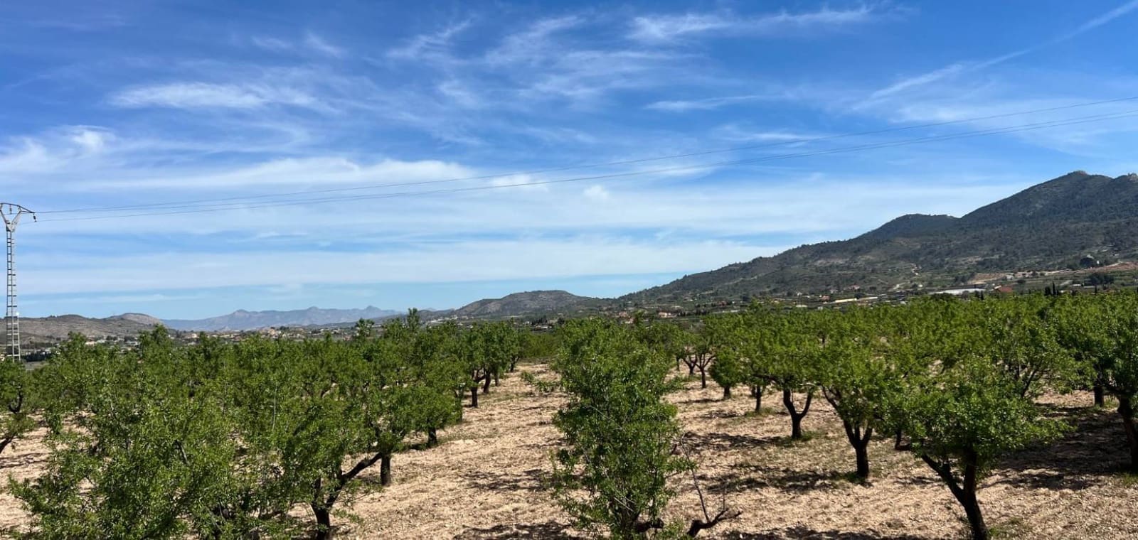 Byggegrund til salg i Hondon de los Frailes - € 46.000 (Ref: 9694048)