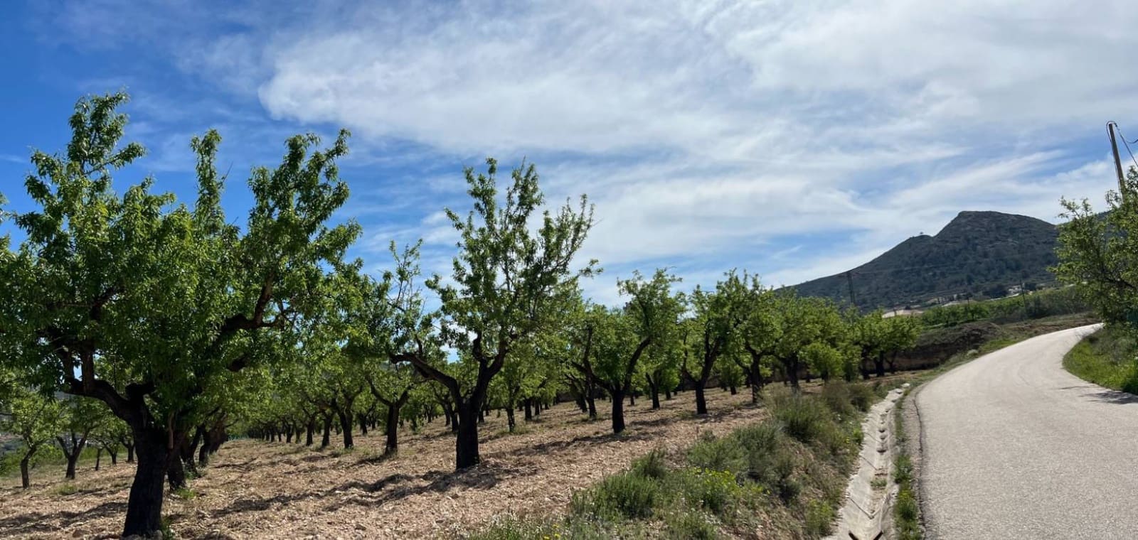 Byggegrund til salg i Hondon de los Frailes - € 46.000 (Ref: 9694048)