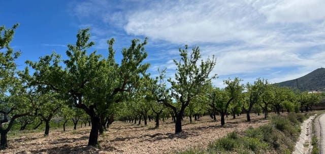 Byggegrund til salg i Hondón de los Frailes - € 46.000 (Ref: 9694048)